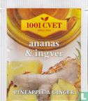 ananas & ingver - Image 1