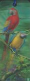 3D - Papegaaien - Parrots - Image 1