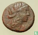 Syracuse, Sicilië - Romeinse Rijk  AE16  210-130 BCE - Afbeelding 2