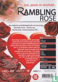 Rambling Rose - Bild 2