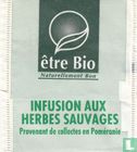 Infusion aux Herbes Sauvages - Image 2