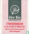 Cynorrhodon à la Fleur D'Hibiscus - Image 1