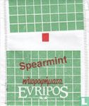 Spearmint - Bild 2