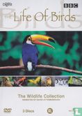 The Life of Birds - Image 1
