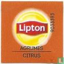 Agrumes Citrus - Image 1