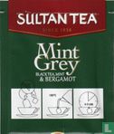 Mint Grey  - Image 2