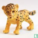 Leopard cub - Image 1