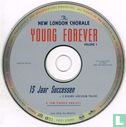 Young Forever - 15 jaar successen - Afbeelding 3