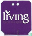Irving ® / The Essence of a Good Day - Image 1
