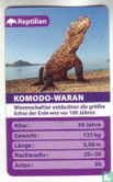 Komodo-Waran - Bild 1