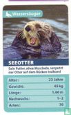Seeotter - Afbeelding 1
