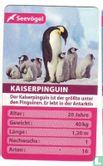 Kaiserpinguin - Afbeelding 1