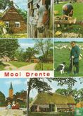 Mooi Drente