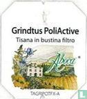 Grindtus PoliAvtive Tisana in bustina filtro - Bild 1