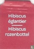 Hibiscus églantier Hibiscus rozenbottel - Afbeelding 1