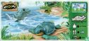 Zeeschildpad - Afbeelding 2