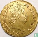Frankrijk 1 louis d'or 1704 (Y) - Afbeelding 1