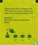 Black Tea Lime - Bild 2