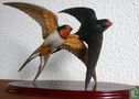 Barn Swallows - Image 1