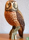 Boreal Owl - Image 1