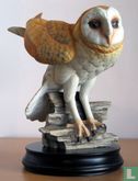 Barn Owl - Image 1