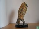 Long-eared Owl - Image 3