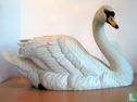 Mute Swan - Image 1