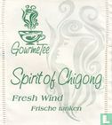 Spirit of Chigong  - Afbeelding 1