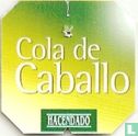 Cola de Caballo  - Image 3