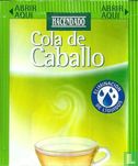 Cola de Caballo  - Image 1