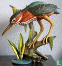 Green Heron - Image 1