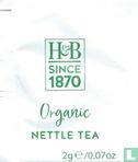 Organic Nettle Tea  - Image 1
