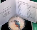 Andorra 5 diners 2014 (PROOF) "Kingfisher" - Image 3