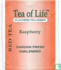 Red Tea Raspberry