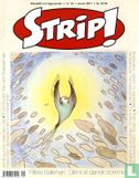 Strip! 53 - Bild 1