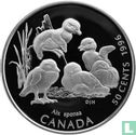 Canada 50 cents 1996 (PROOF) "Wood ducklings" - Image 1