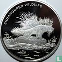 Kongo-Kinshasa 10 Franc 2009 (PP) "Endangered wildlife - Porcupine" - Bild 2