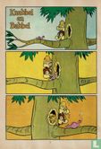 Donald Duck 17