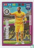 Samir Handanovic - Image 1