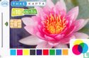 Lotus Flower - Afbeelding 1