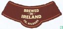 Irish Red Ale - Afbeelding 3