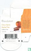 Citrus Spice Herbal Tea     - Afbeelding 1