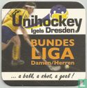 www.unihockey-dresden.de - Afbeelding 2