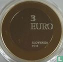 Slovenië 3 euro 2019 (PROOF) "Centenary of Prekmurje rejoining its homeland" - Afbeelding 1