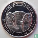 Somalië 100 shillings 2020 (zilver - kleurloos) "Elephant" - Afbeelding 2