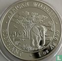Somalie 100 shillings 2012 (non coloré) "Elephant" - Image 2