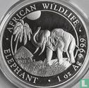 Somalië 100 shillings 2017 (zilver - kleurloos) "Elephant" - Afbeelding 2