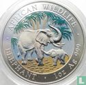 Somalië 100 shillings 2007 (gekleurd) "Elephant" - Afbeelding 2