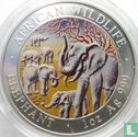 Somalië 100 shillings 2008 (gekleurd) "Elephant" - Afbeelding 2