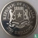 Somalië 250 shillings 2000 (PROOF) "Che Guevara" - Afbeelding 2